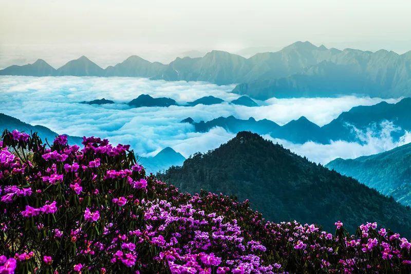 河南平顶山凌晨突发多声巨响，是否对居民的生活造成了影响？